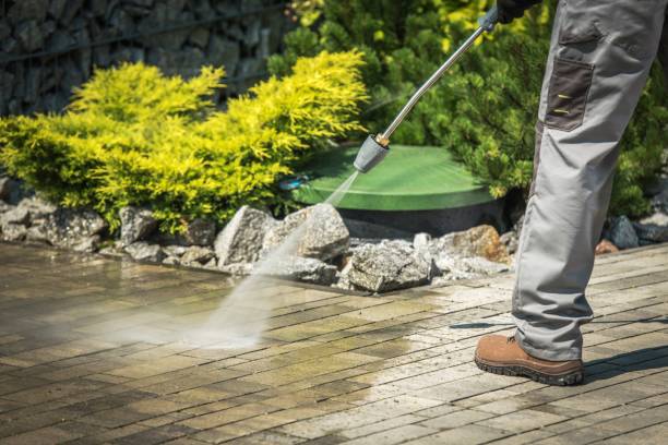 Best Fleet Vehicle Washing  in Loudonville, NY